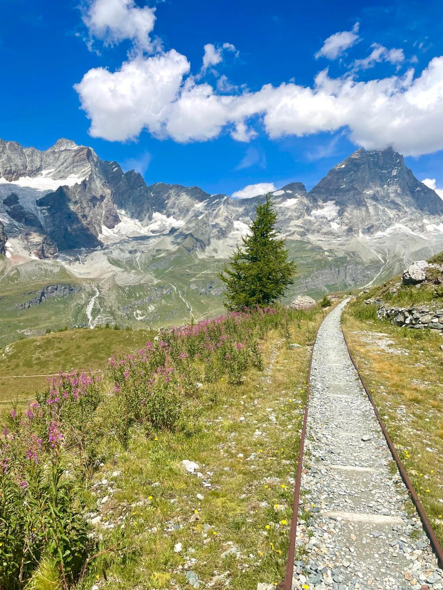 Ski Paradise - Cielo Alto Cervinia بيريوِل تْشيرفينيا المظهر الخارجي الصورة
